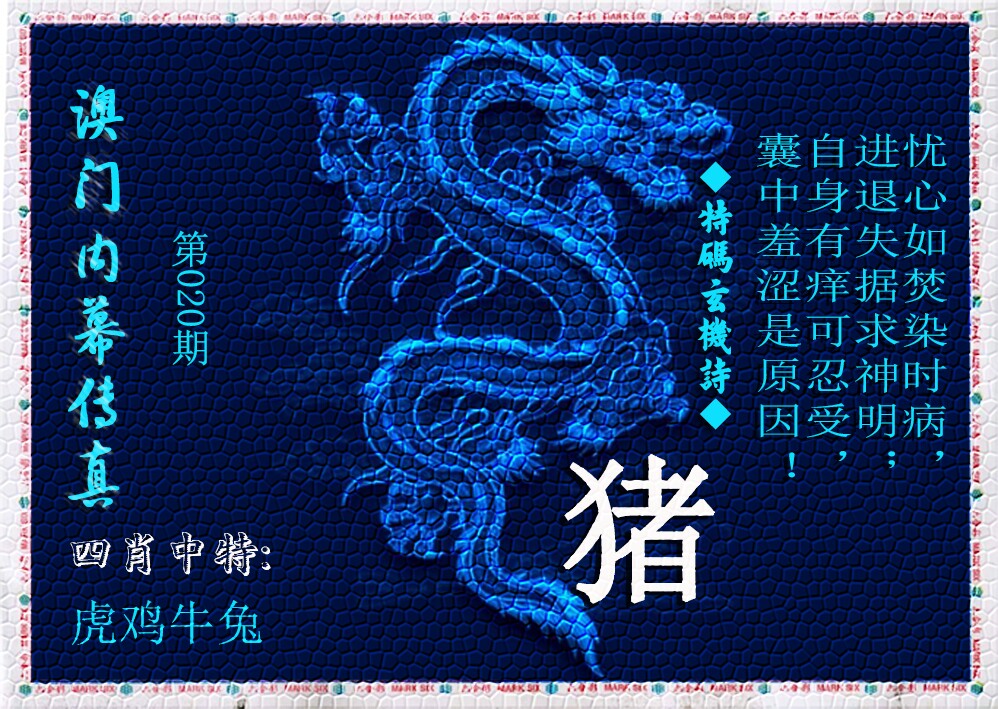 九龙内幕传真(新上市)