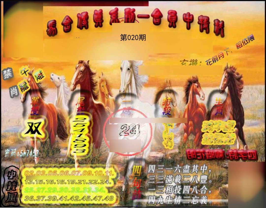 马会传真-会员报