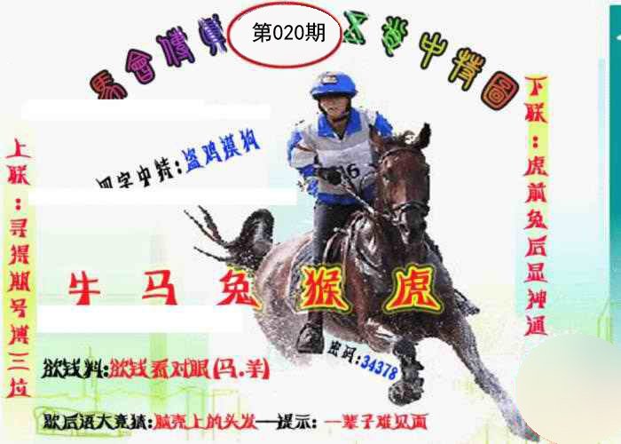 马会传真-五肖料