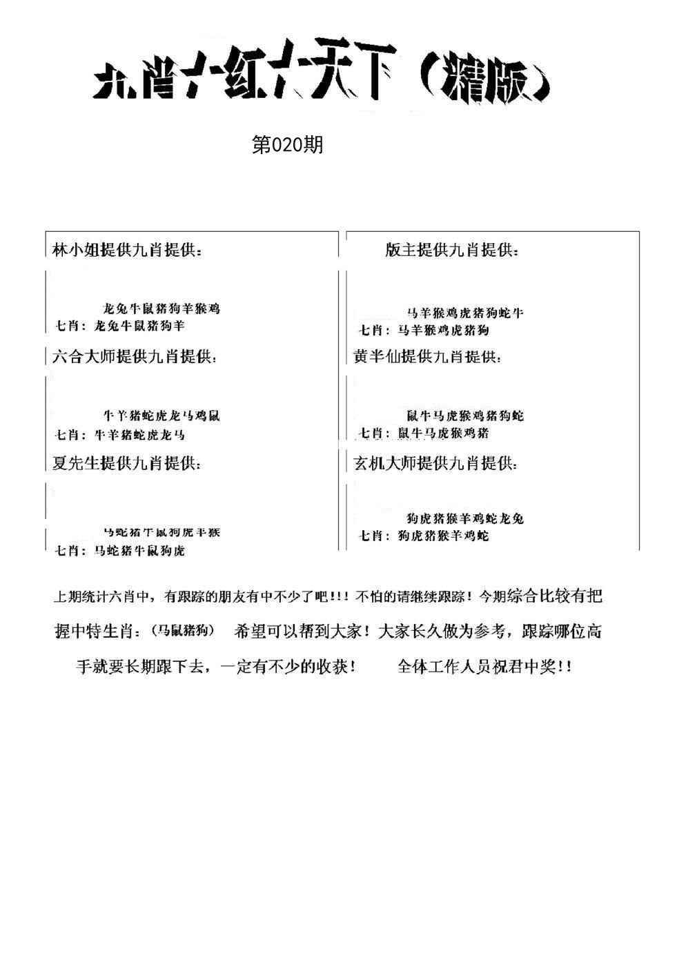 九肖红天下精版(新)