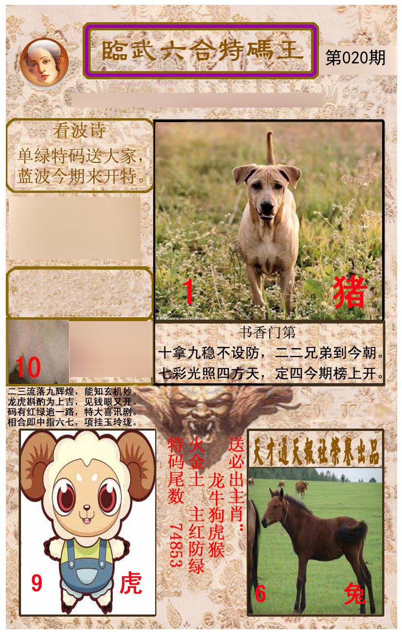 临武六合特码王