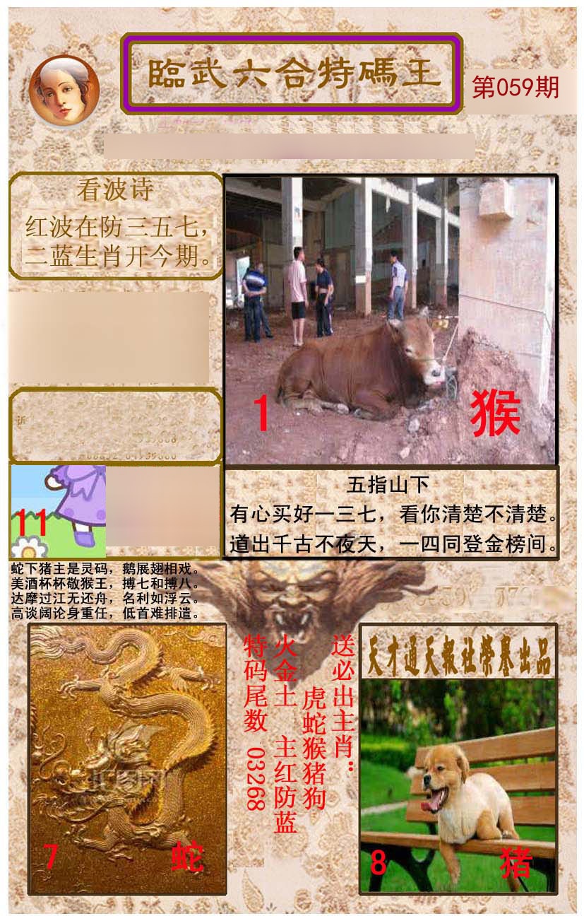 临武六合特码王