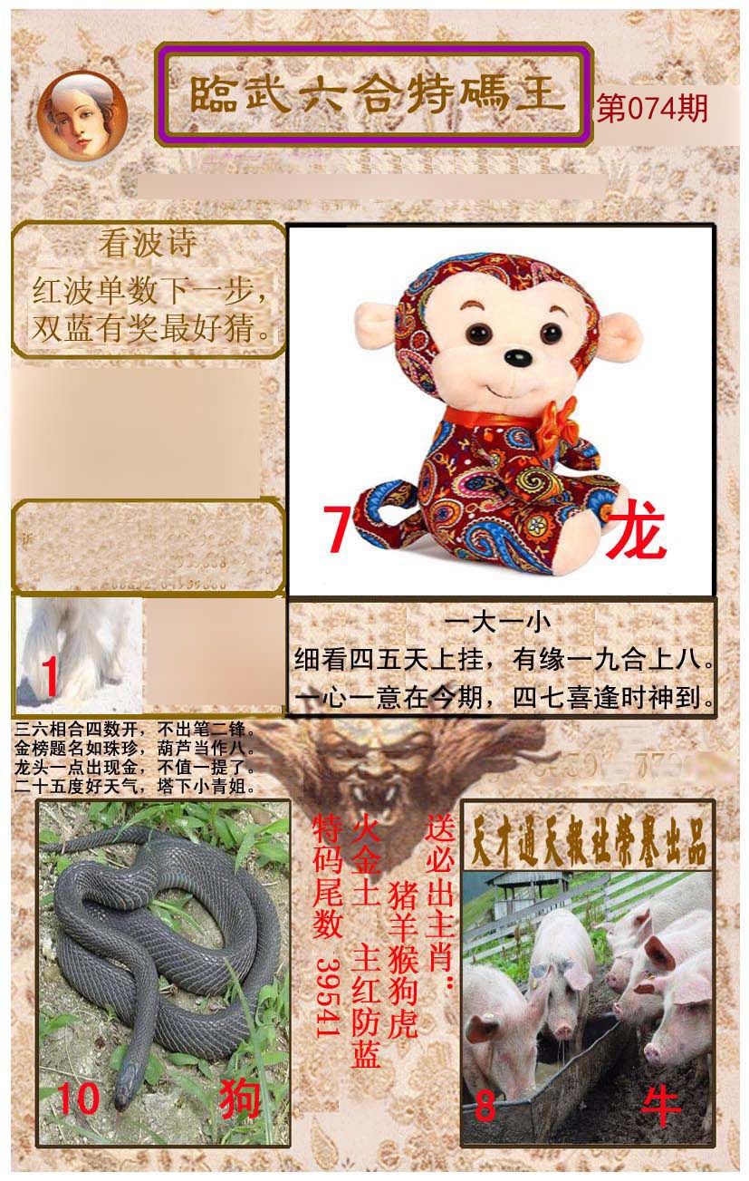 临武六合特码王