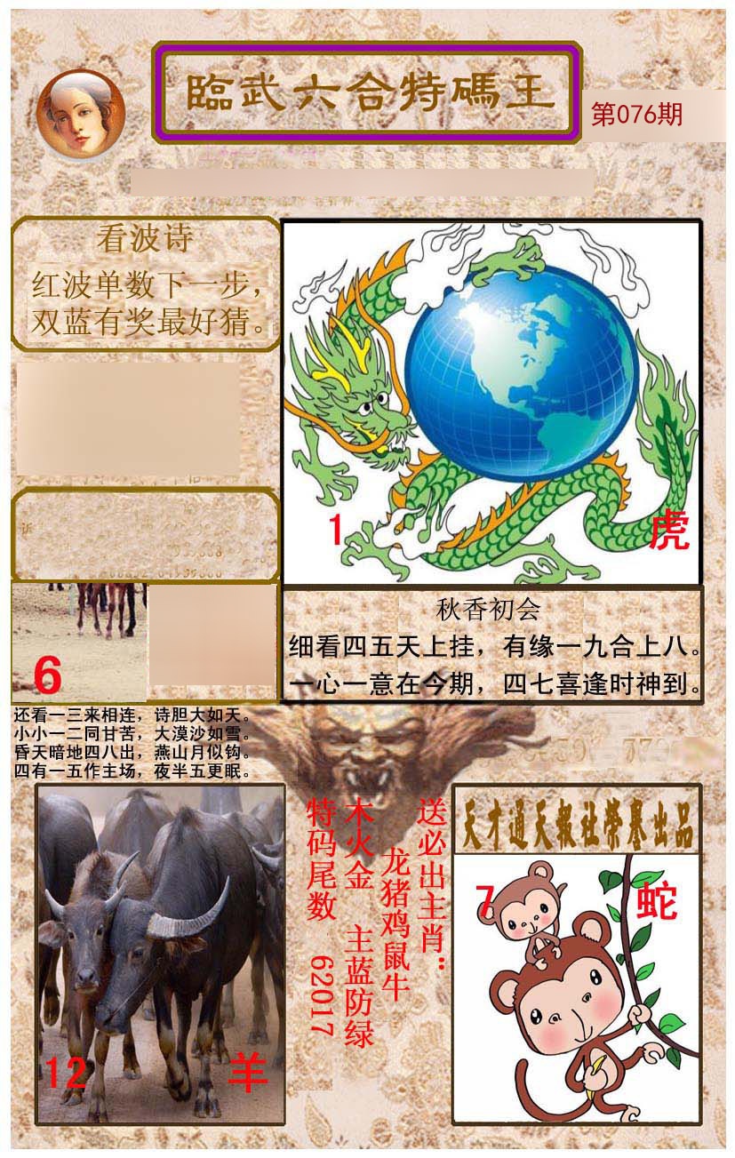 临武六合特码王