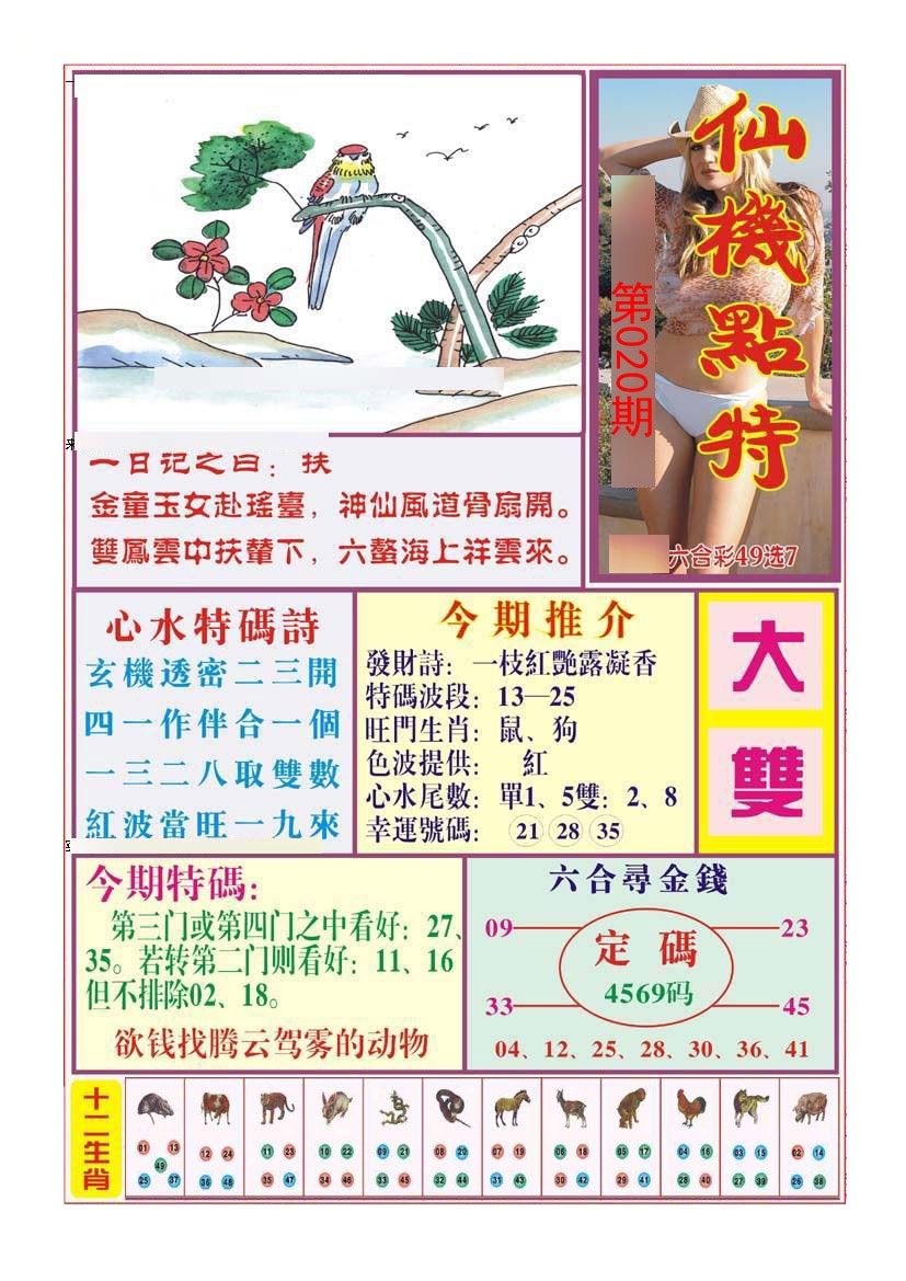 仙机点特（新）