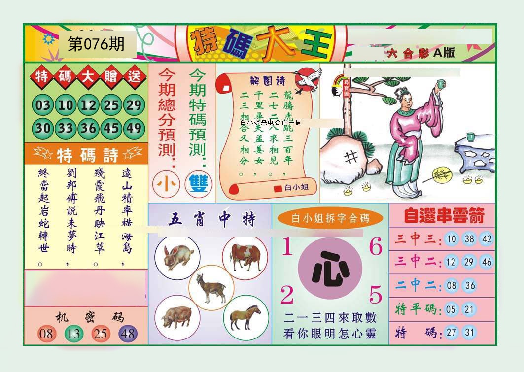 特码大王A（新）