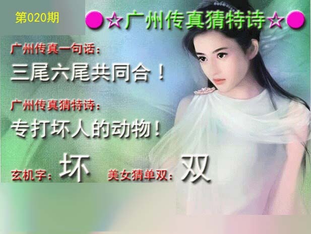 广州传真中特诗