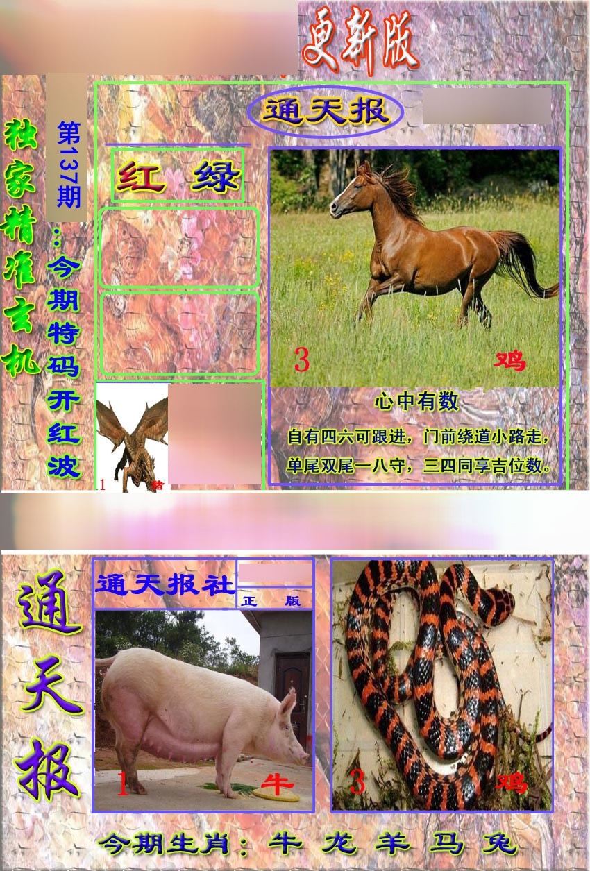 新通报