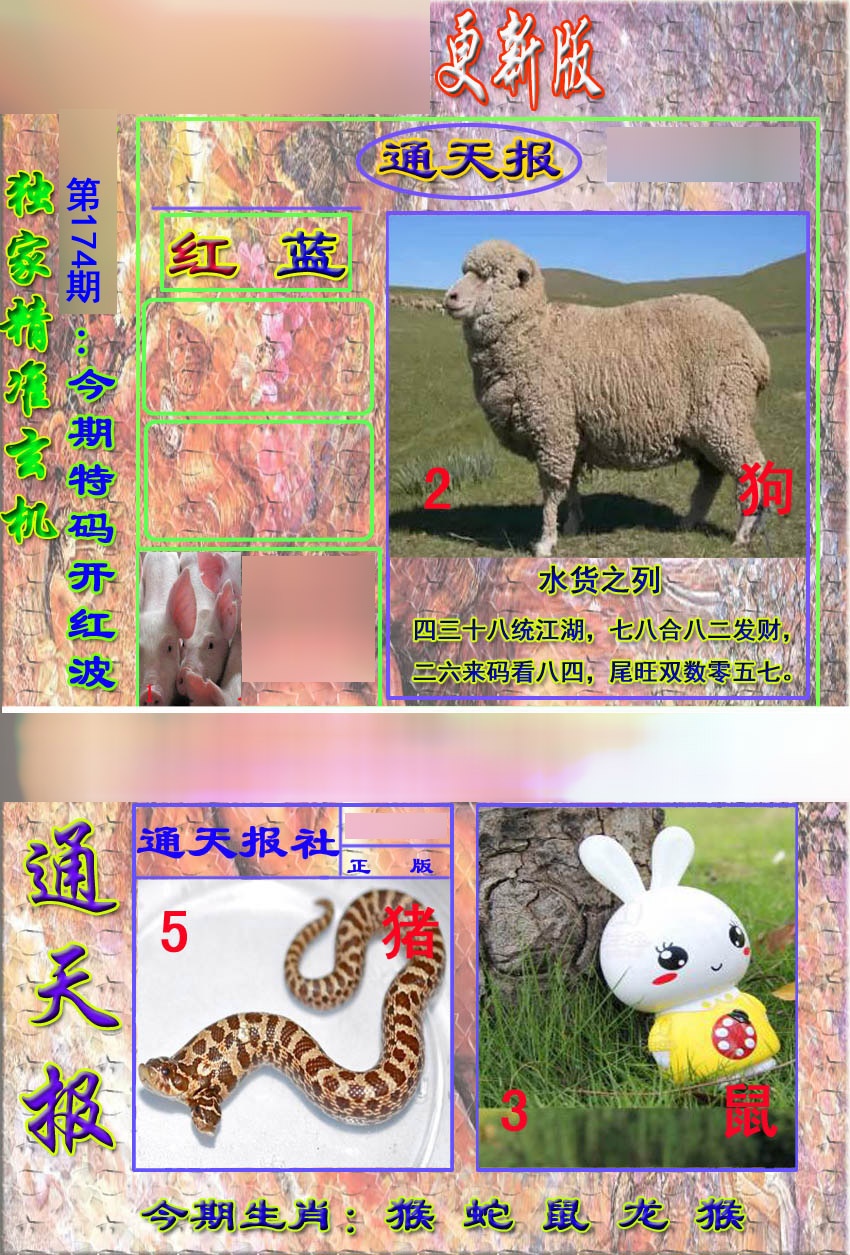 新通报