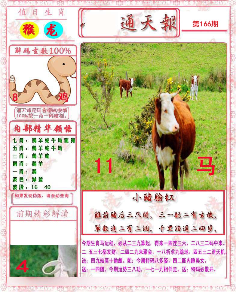 马经通天报