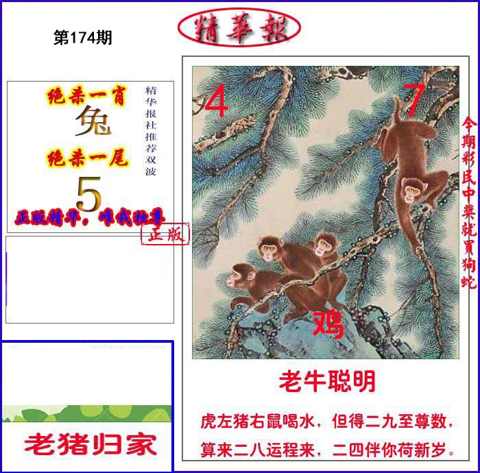 新精华报报