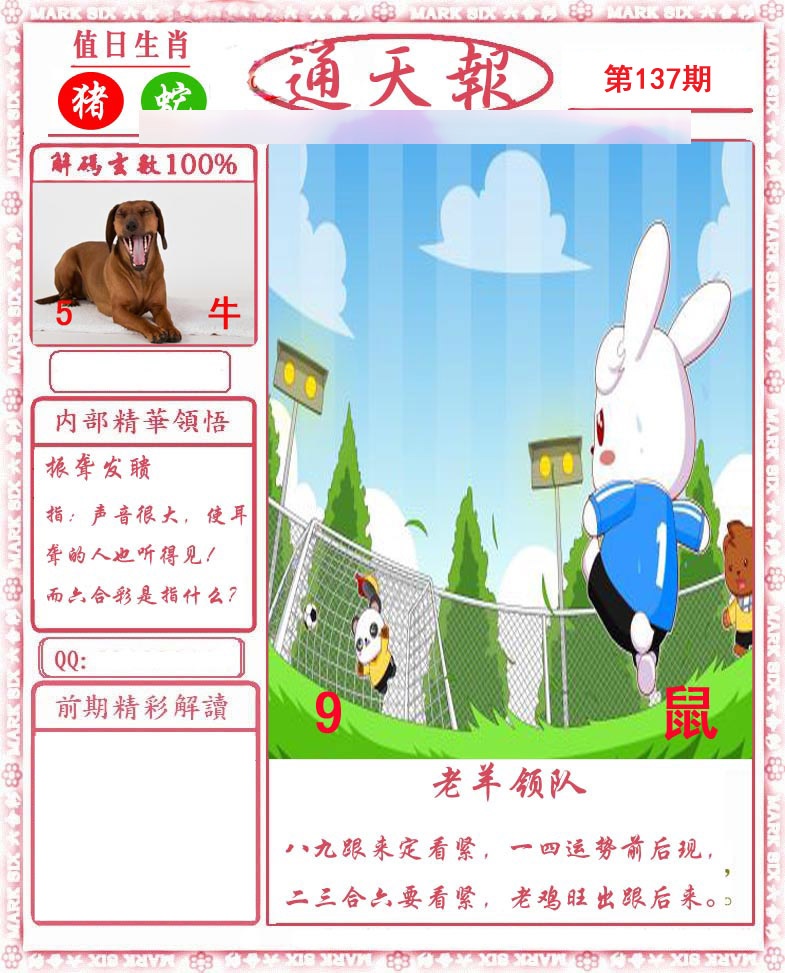 正版通天报