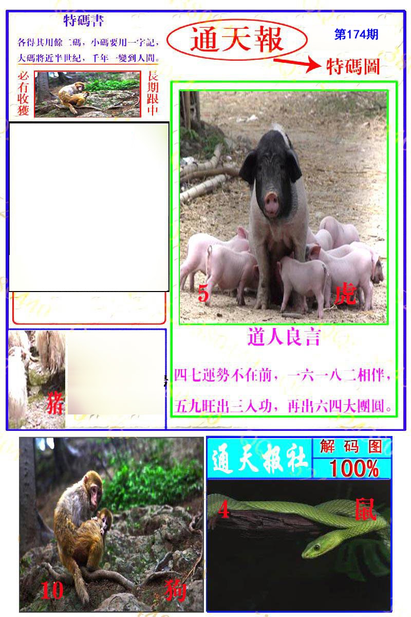 通天特解图