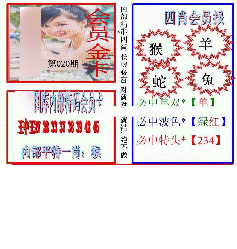 马经四肖会员报(新)