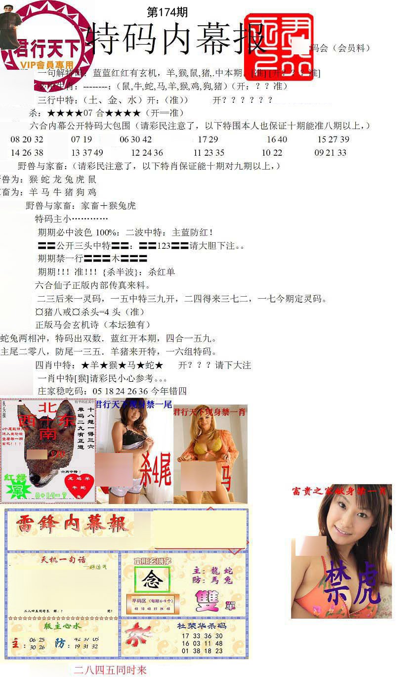 特码内幕报
