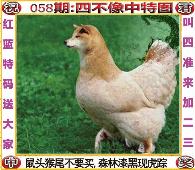 四不像