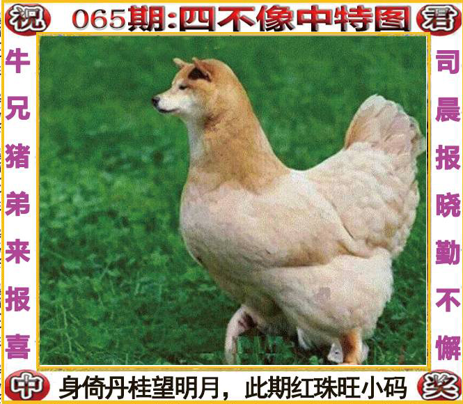 四不像