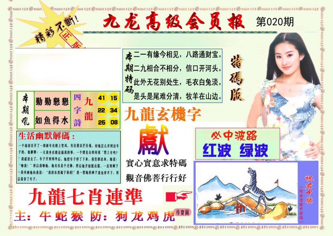九龙高级会员报