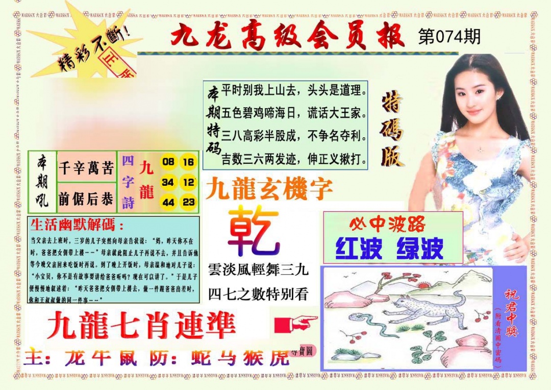 九龙高级会员报